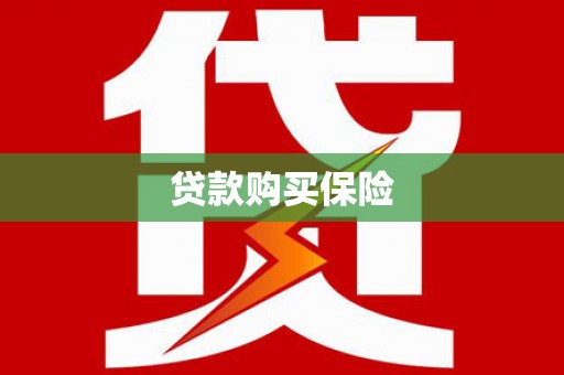 维西贷款购买保险