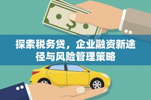 德兴探索税务贷，企业融资新途径与风险管理策略