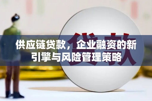 海端供应链贷款，企业融资的新引擎与风险管理策略