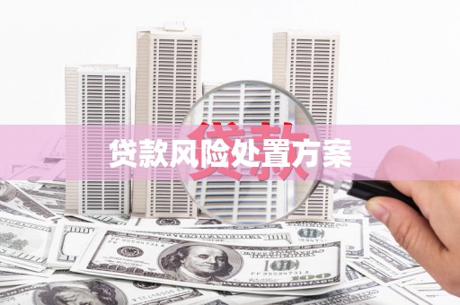 北关贷款风险处置方案