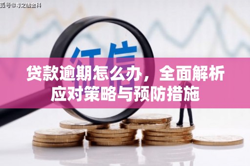 禹城贷款逾期怎么办，全面解析应对策略与预防措施