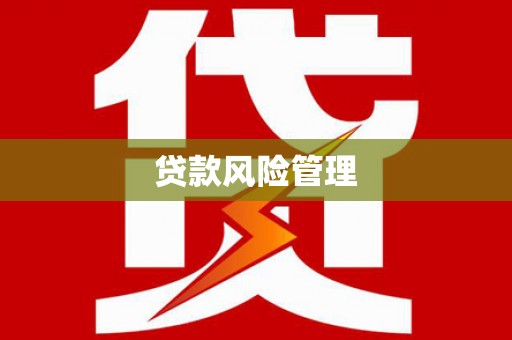 芒市贷款风险管理