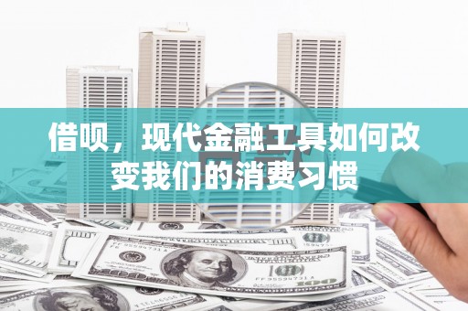 东凤借呗，现代金融工具如何改变我们的消费习惯
