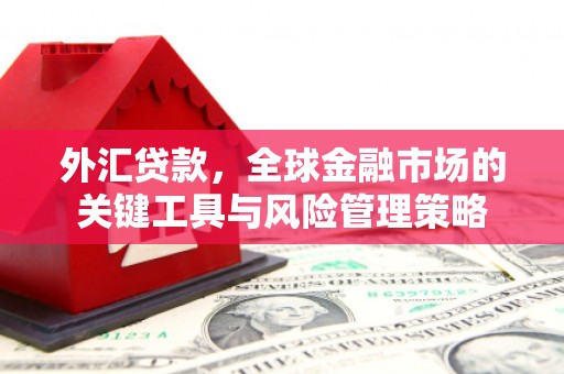 随州外汇贷款，全球金融市场的关键工具与风险管理策略