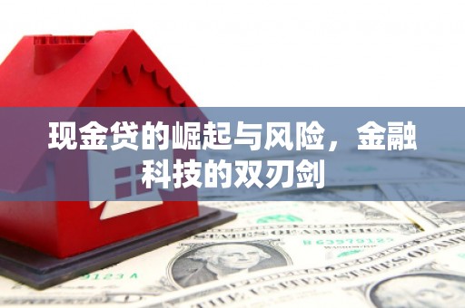 小金现金贷的崛起与风险，金融科技的双刃剑