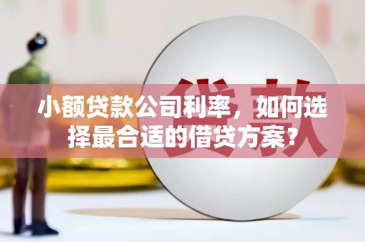 竹塘小额贷款公司利率，如何选择最合适的借贷方案？