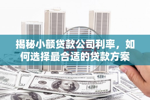 莎车揭秘小额贷款公司利率，如何选择最合适的贷款方案