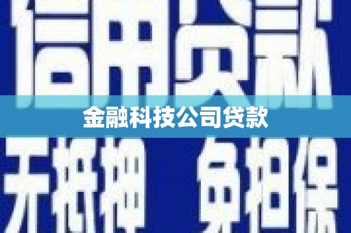 新晃金融科技公司贷款