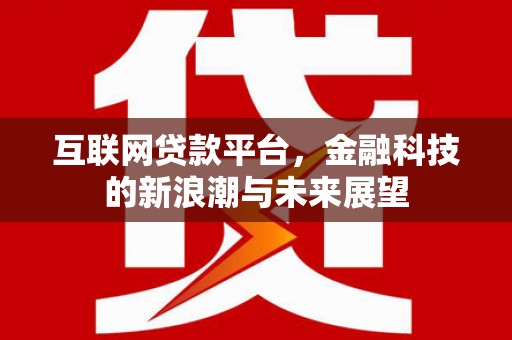 洪洞互联网贷款平台，金融科技的新浪潮与未来展望