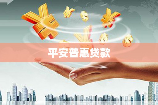 牟定平安普惠贷款