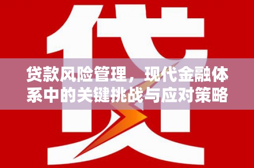 华宁贷款风险管理，现代金融体系中的关键挑战与应对策略