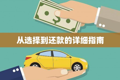 带岭从选择到还款的详细指南