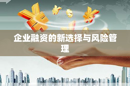武进企业融资的新选择与风险管理