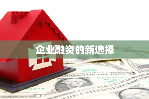 安图企业融资的新选择