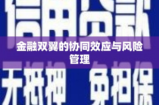 南屯金融双翼的协同效应与风险管理