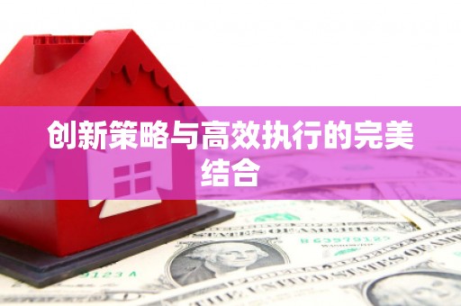 颍上创新策略与高效执行的完美结合
