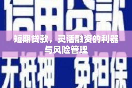 牡丹短期贷款，灵活融资的利器与风险管理