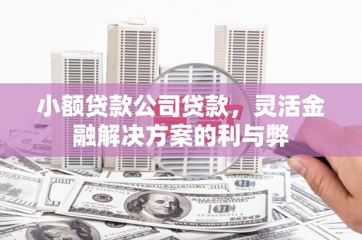 罗东小额贷款公司贷款，灵活金融解决方案的利与弊
