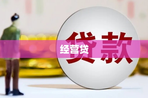 大武经营贷